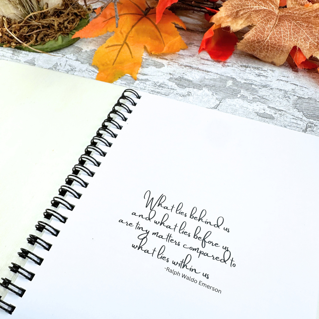 Autumn Bows Notebook