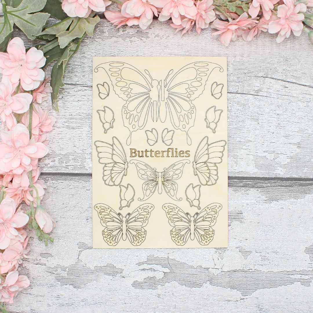 Butterflies Collection