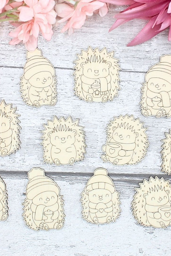 Cute Winter Hedgehog set