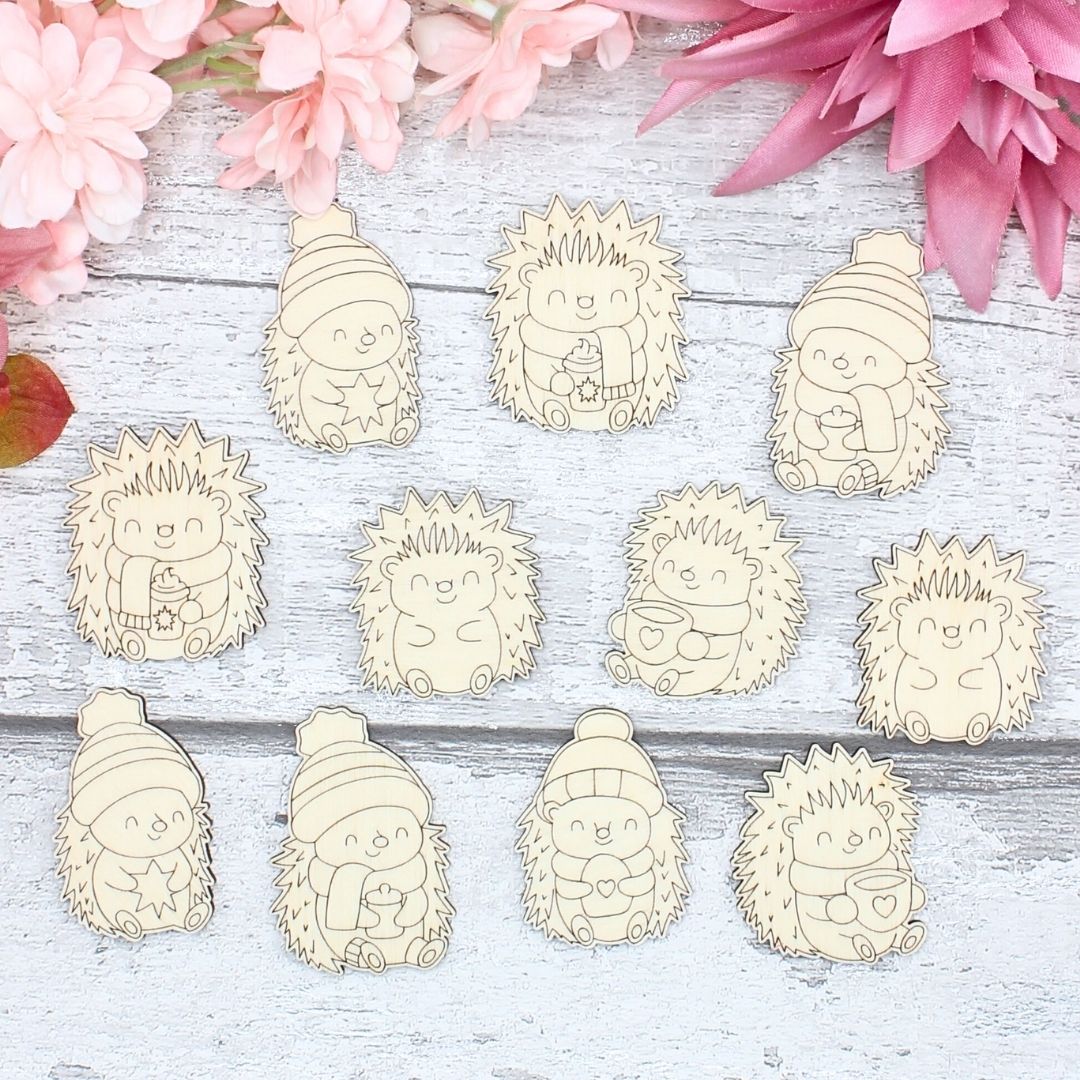 Cute Winter Hedgehog set