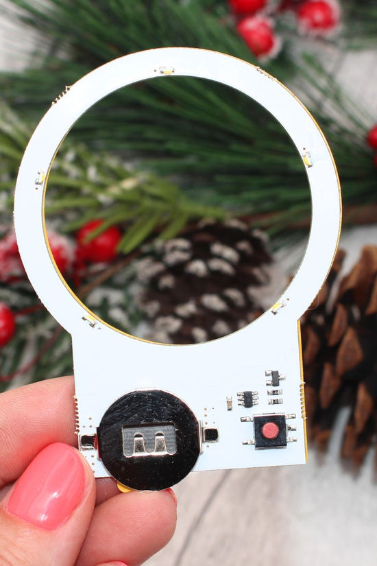 Light up LED SnowGlobe