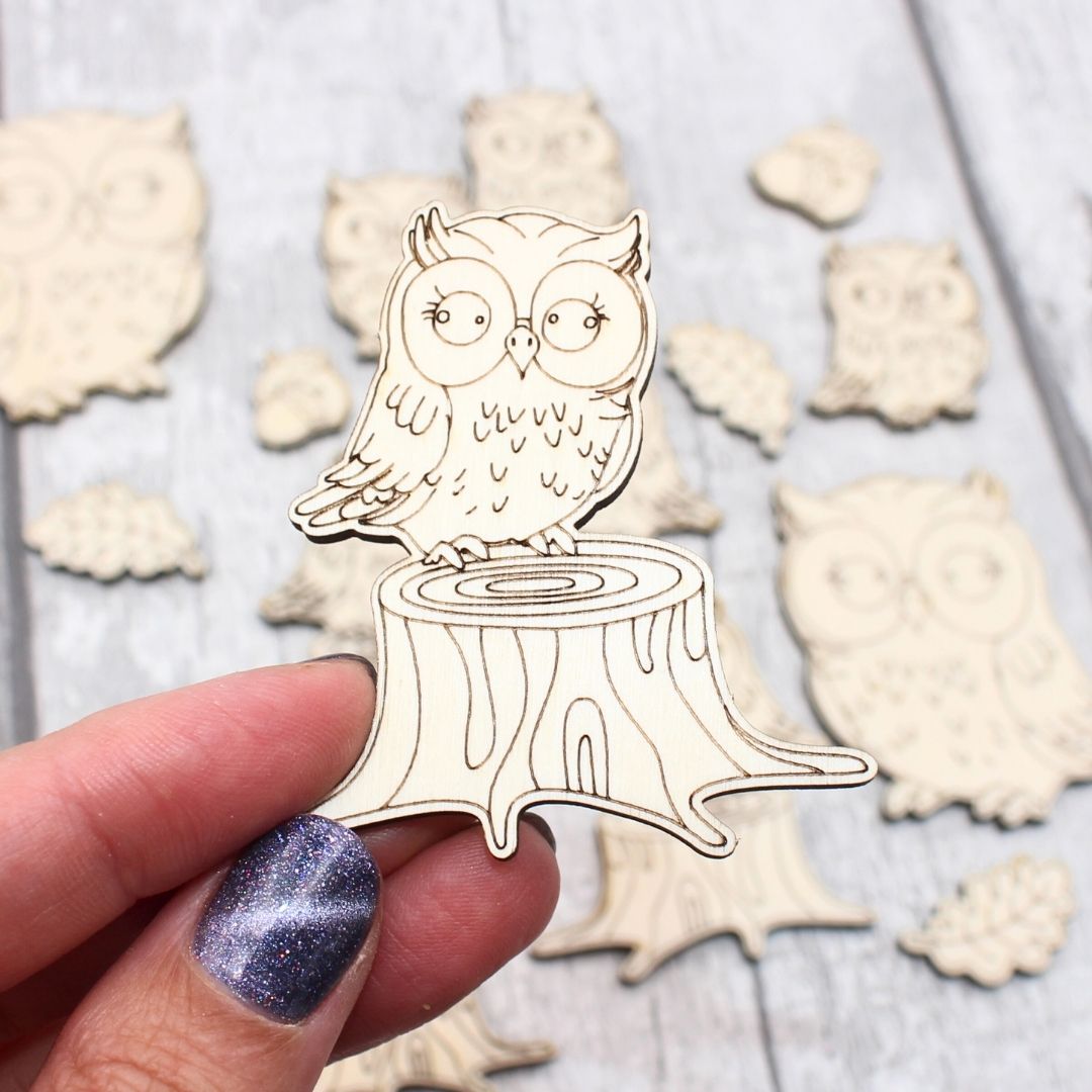 Owl Set