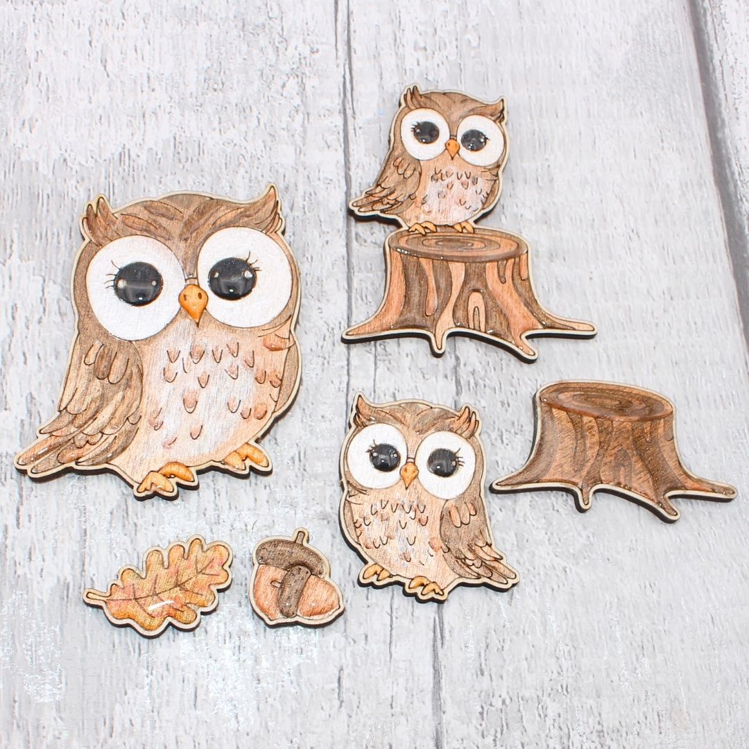 Owl Set