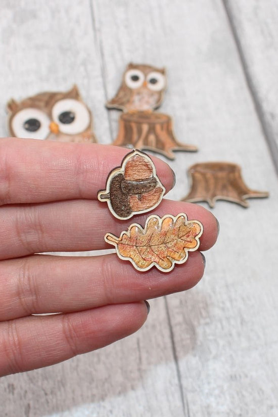Owl Set