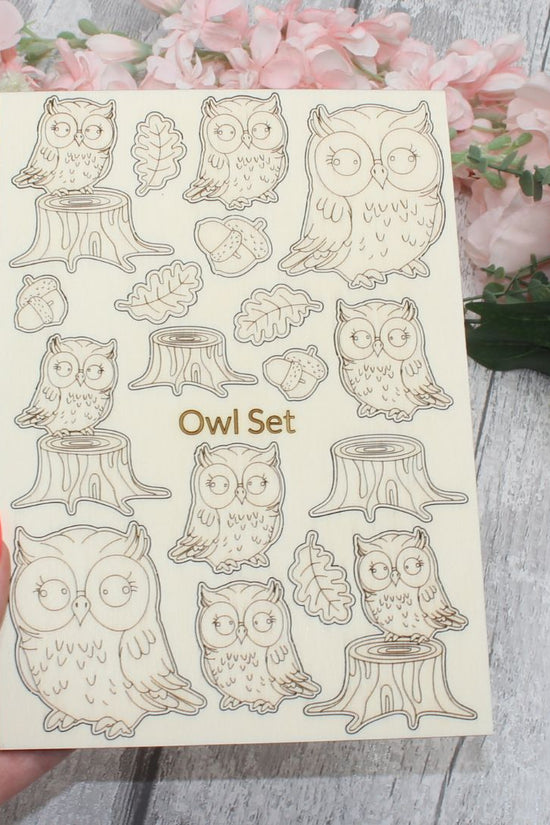 Owl Set
