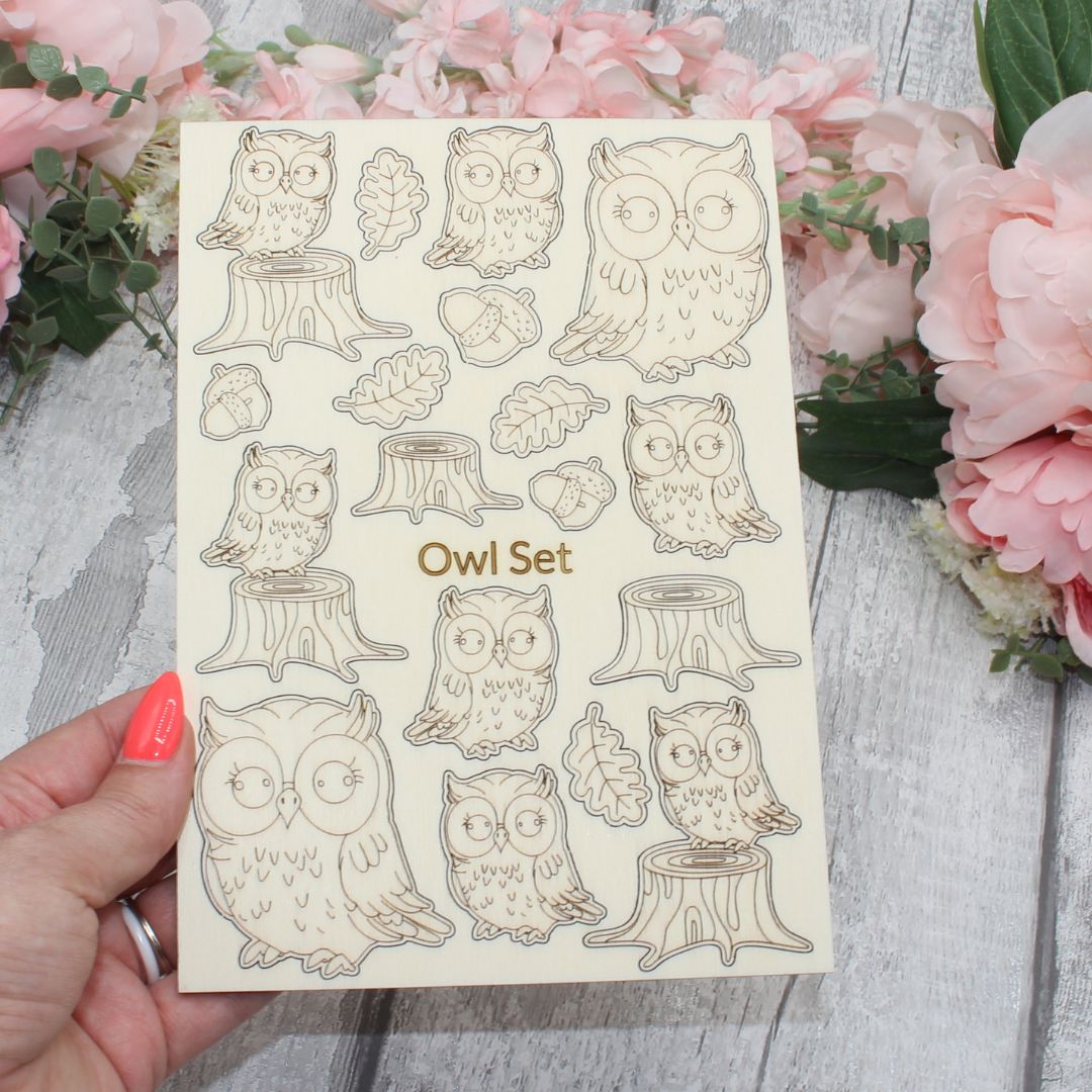 Owl Set