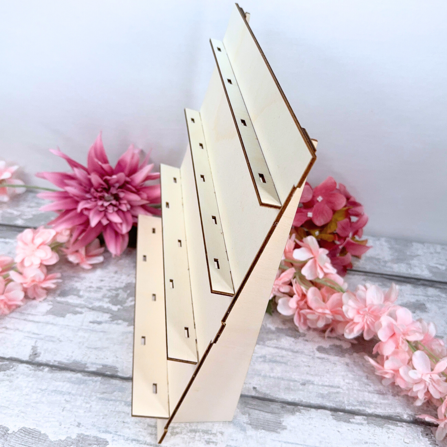 2026 Collectables Stand