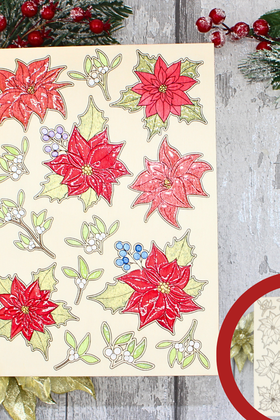 Christmas Florals - Poinsettia & Mistletoe