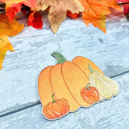 Pumpkin Coasters